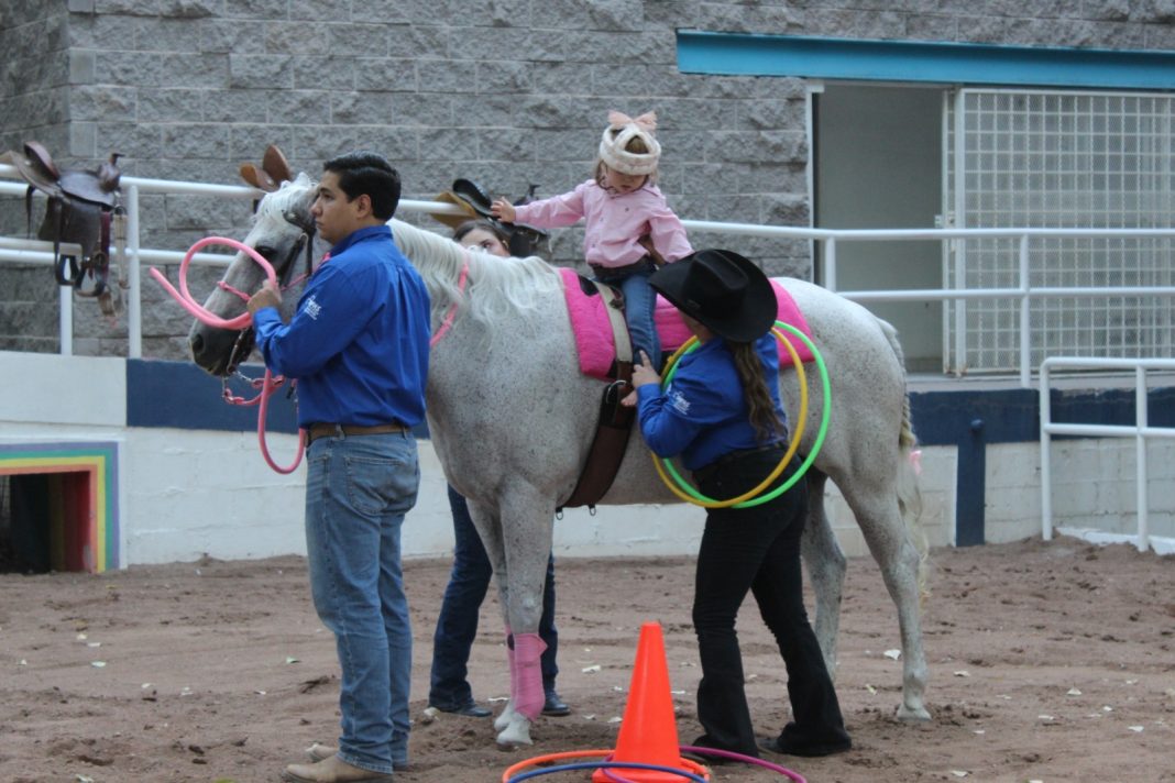 ¿Conoces el Centro Municipal de Equinoterapia? ¿Conoces el Centro Municipal de Equinoterapia?