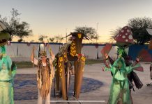 “Faunastacia”, espectáculo gratuito en el Parque Central Oriente